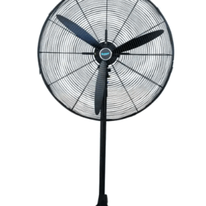 Fans